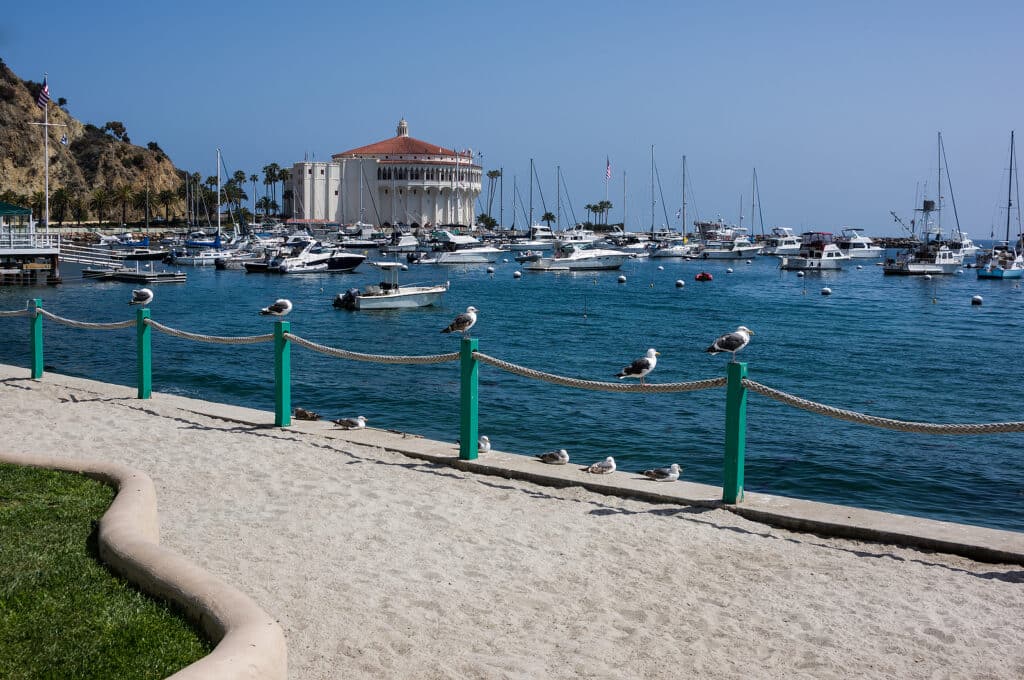 USA Hidden Gem Islands From Tripps Worldwide (2)